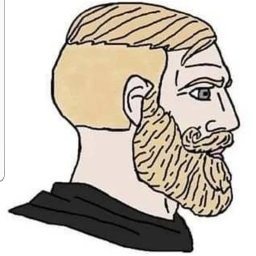 meme della barba, meme della barba, modo barbuto uomo, meme uomo barbuto, memov il tipo con la barba