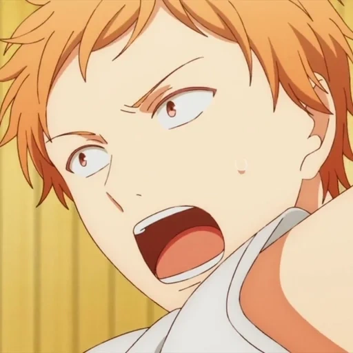 haikyuu, immagine, anime carino, haikyu hinata, personaggi anime