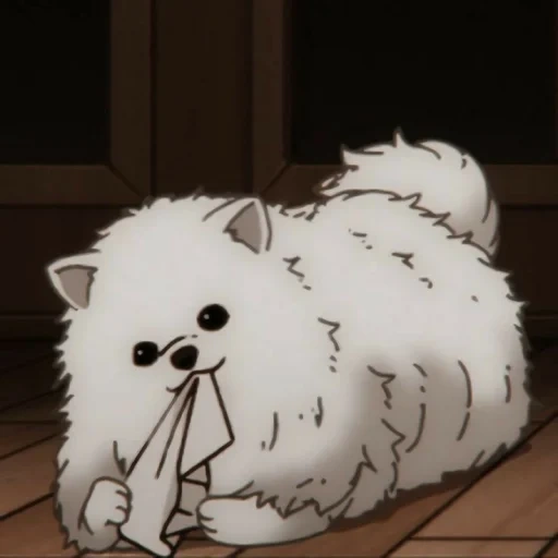 cat, dog anime, anime pet, anime animal, qintama sadalu