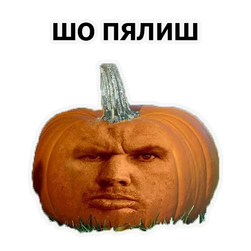 pumpkin, smooth valakas, the meme is smooth valakas, smooth valakas pumpkin, photolups are smooth valakas