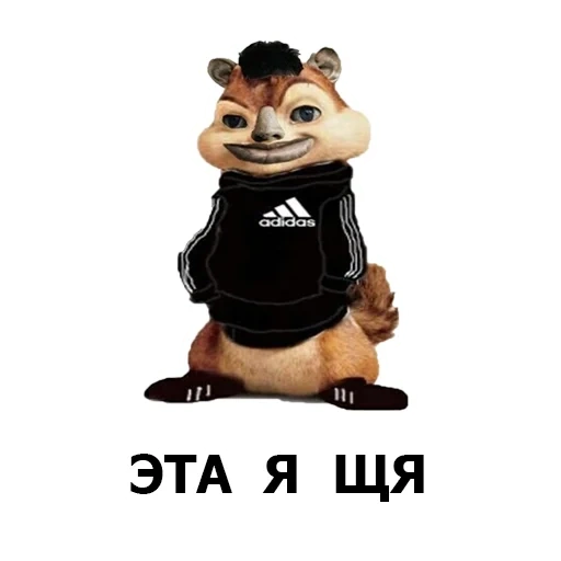 alvin, orang, alvin chipmunk, alvin chipmunk adidas