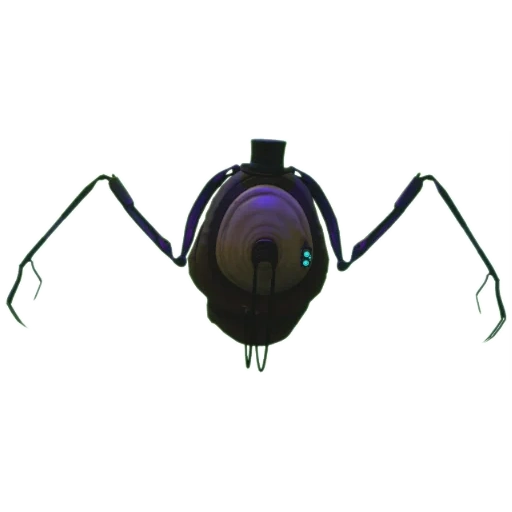 пауки, паук чёрная вдова, радиоуправляемый паук, чёрная вдова паук самец, советник альянса half life 2