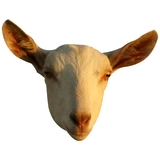 GoatRulez