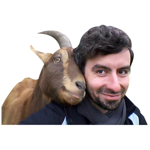 human, the male, goat timur, selfie tin, qaqilinin gundelii