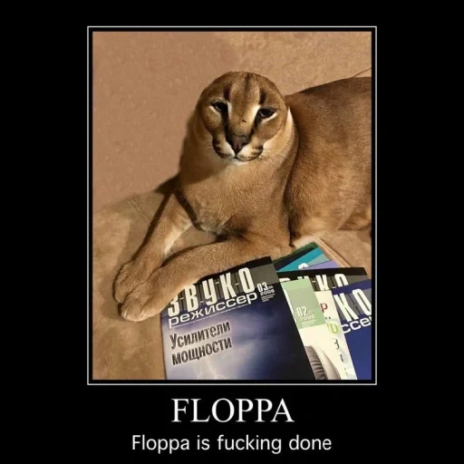 floppa, кот шлёпа, шлепа кот, кот большой, floppa cat