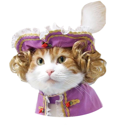 chat, chat, chats, costume de chat, costumes catcals