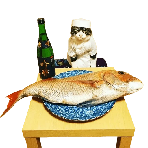 cat, рыба, кошка, кот рыбой
