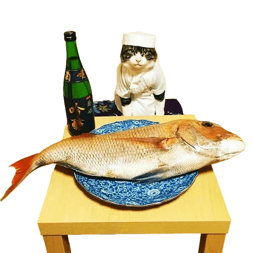 cat, peixe, gato, gato de peixe