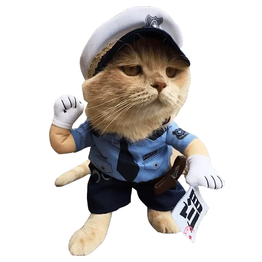 кот, cat, котик, кот полицейский