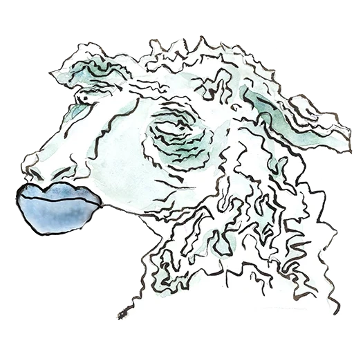 diagram, sketsa kepala, sketsa kepala domba, profil kepala ram