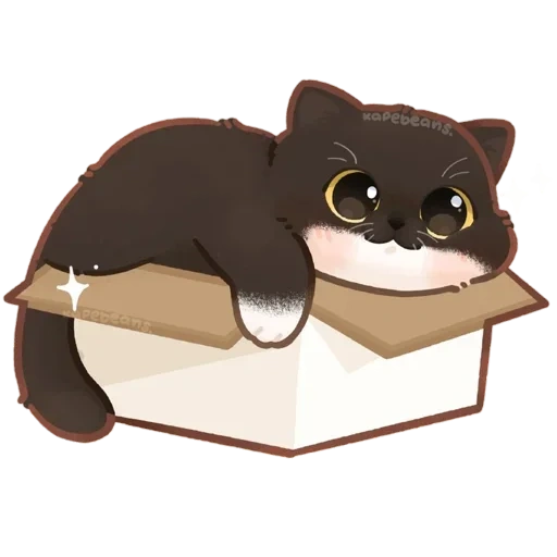 kucing, box cat, kucing ke dalam kotak, grafik kotak kucing, pola lucu binatang