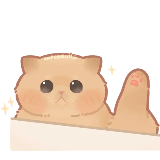 cats, catos, anime hamster, les animaux sont mignons, les motifs animaux sont mignons