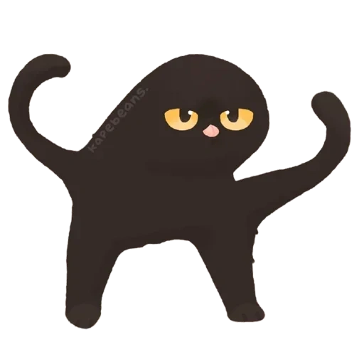 cat, cat, kou cat, black cat, black cat kommersant