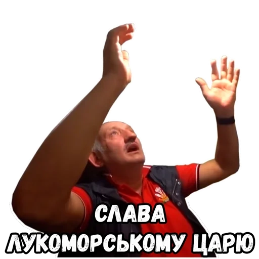 meme, ukrainer, bildschirmfoto, gene vovan, 21 jahrhundert zum hofmeme