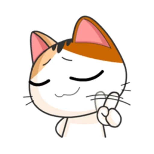 japonais, phoque du japon, chaton japonais, expression de chat