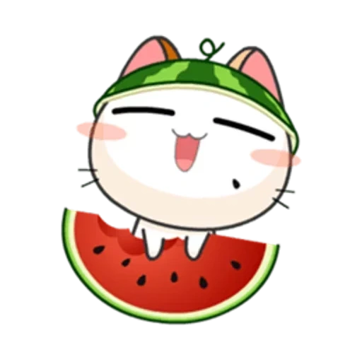 wa apps, cat with a watermelon