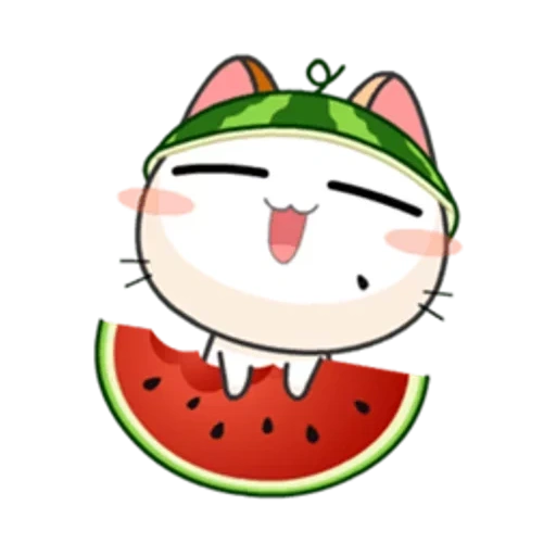 wa apps, die wassermelone katze