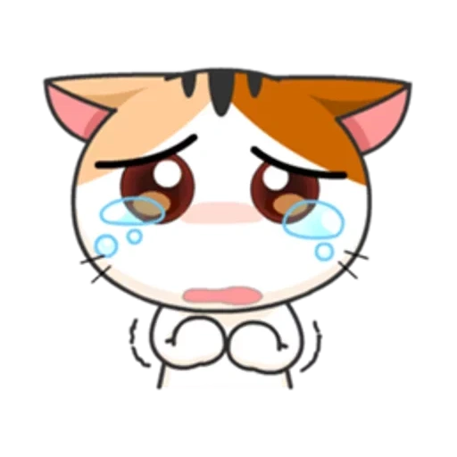 anime maulle, el gato está llorando, wa apps cat, gato japonés, meow animado
