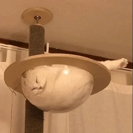 кошка, flying saucer, потолочный кот мем, прозрачное гнездо кота, встраиваемый светильник paulmann nova 93661