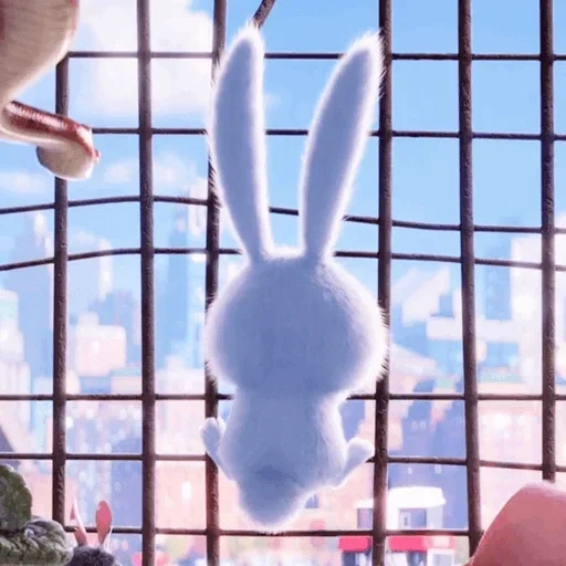 conejo, bola de nieve de conejo, vida secreta de la mascota, vida secreta del conejo mascota, rabbit snow ball secret life pet 1