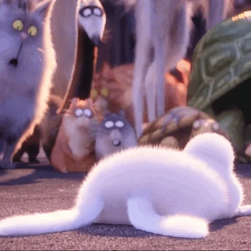 cat, rabbit snowball, cats, a cheerful animal, the secret life of pets