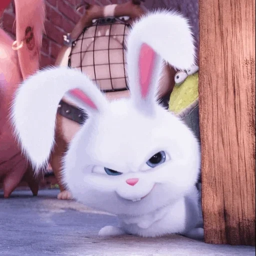 conejo malvado, bola de nieve de conejo, secreto vida mascota conejo bola de nieve, vida secreta del conejo mascota, la vida secreta del conejo mascota es malvada