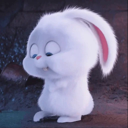 petit lapin, le lapin est mignon, boule de neige de lapin, snowball secret life, la vie secrète des animaux de compagnie de boule de neige