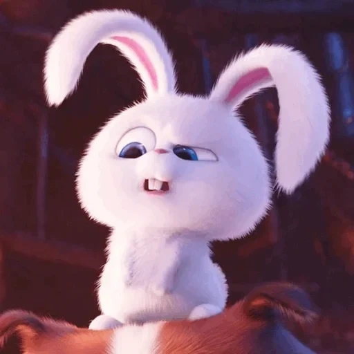 conejo malvado, bola de nieve de conejo, conejo vida secreta, conejo de mascota de vida secreta, vida secreta de dibujos animados de conejo blanco