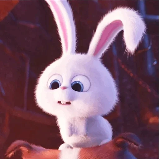 coniglio palla di neve, cartoon rabbit, cartoon del coniglio, bunny snowball carino, vita segreta dei cartoni animati di coniglio