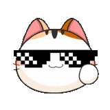 tabby, gente, meow_emoji, gafas de píxeles, gafas de gato