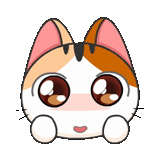 chats japonais, chat japonais, dessins kawaii mignons