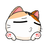 selo japonês, gatinho japonês, gato de expressão, gato de expressão coreana