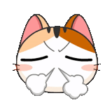 eine katze, meow animiert, japanische katzen, japanische katze