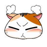 gatinho, falcões fofos, meow animated, selo japonês