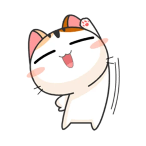 японские кот, милые котики, meow animated, японские котики, японская кошечка