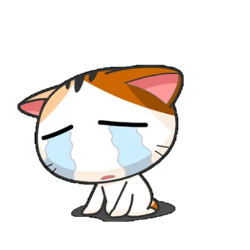 odaries à fourrure, chat mignon, le chat pleure, charmant phoque, chaton japonais