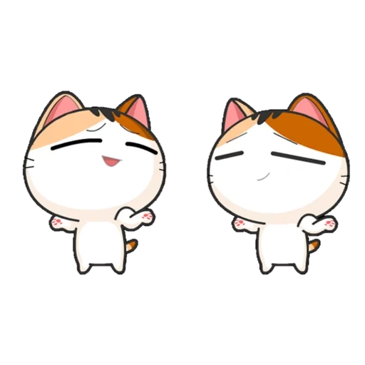 котом, котики, милые котики, meow animated, японская кошечка
