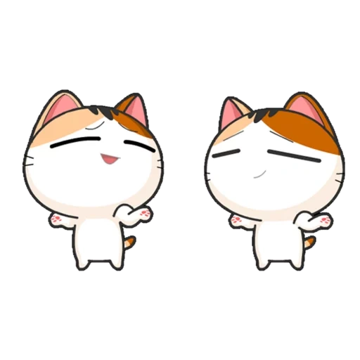 die katze, die seehunde, schöne seehunde, meow animated, japanisches kätzchen