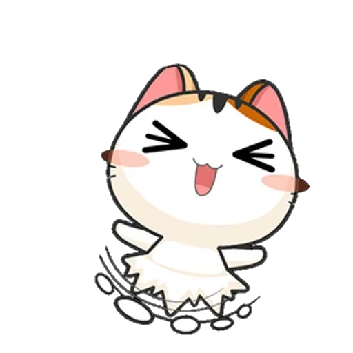 chat mignon, chat japonais, charmant phoque, phoque du japon, chaton japonais