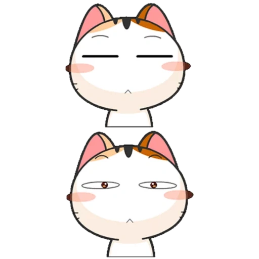 cats, chatons, charmant phoque, phoque du japon, chaton japonais