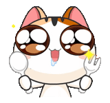 cute cat, японские котики, gojill the meow, японская кошечка