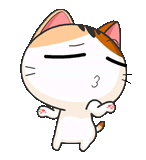 meow animiert, japanische katze