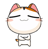 katze, eine katze, katze süß, meow animiert, japanische katze