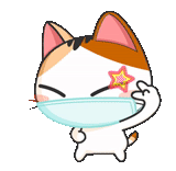кошечка, кот японский