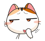 cat, meow meow animation, meow animated, japanese seal, anime expression cat