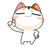 милые котики, meow animated, японские котики, японская кошечка