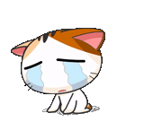 katze, süße katze, süße katzen, meow animiert, japanische katze
