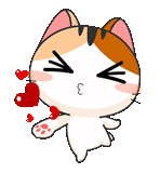 phoques, charmant phoque, meow animated, chaton japonais, animation des phoques