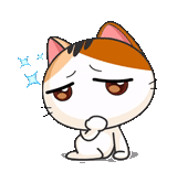 selo, falcões fofos, meow animated, gatinho japonês