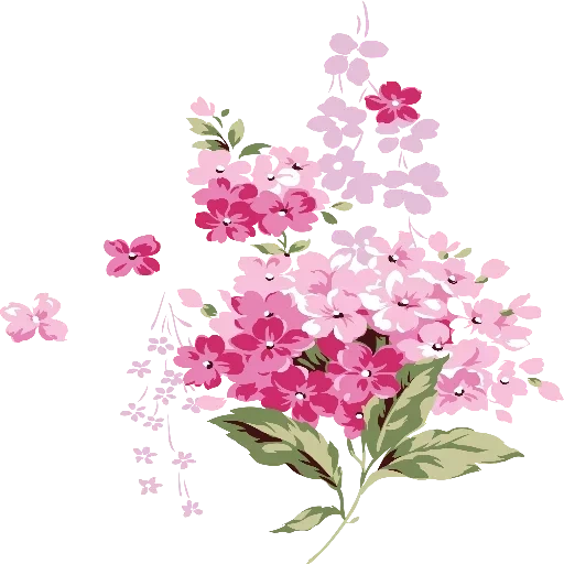 фон цветы, сирень цветы, акварельные цветы, фон розовые цветы, цветы прозрачном фоне